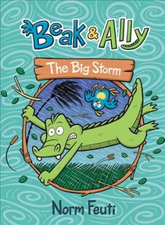 Beak & Ally. 3, The big storm  Cover Image