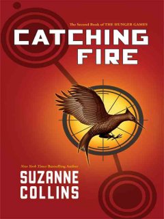Catching fire  Cover Image