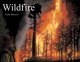 Go to record Wildfire