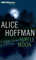 Go to record Turtle moon