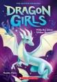 Go to record Willa the silver glitter dragon