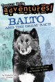 Go to record Balto and the great race