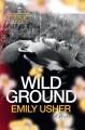 Go to record Wild ground : a novel