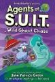 Go to record Agents of S.U.I.T. 3, Wild ghost chase
