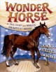 Go to record Wonder horse